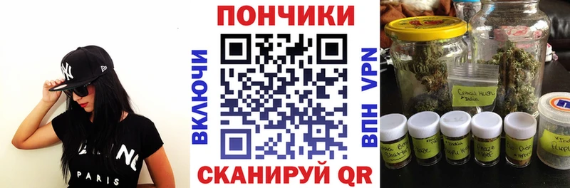 Продажа наркотиков Ленинградская Кокаин  Псилоцибиновые грибы  ГАШИШ  APVP  Каннабис  МЕГА зеркало  Меф 