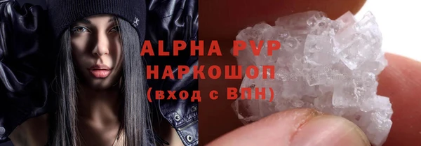 прущие грибы Лихославль