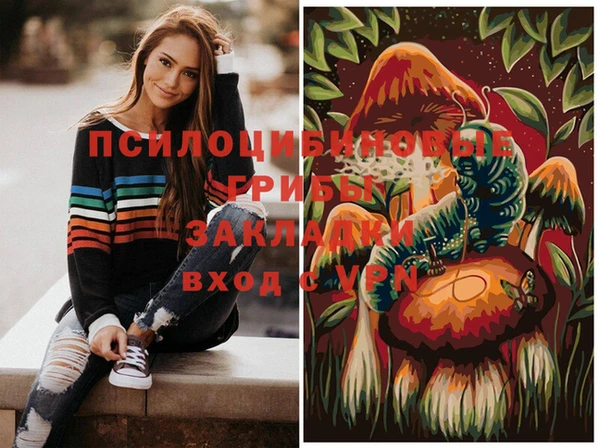 шишки Абдулино