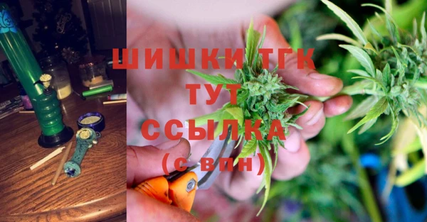 соль ск Липки