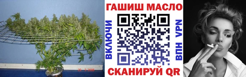 купить наркотики цена  Ленинградская  ТГК концентрат 