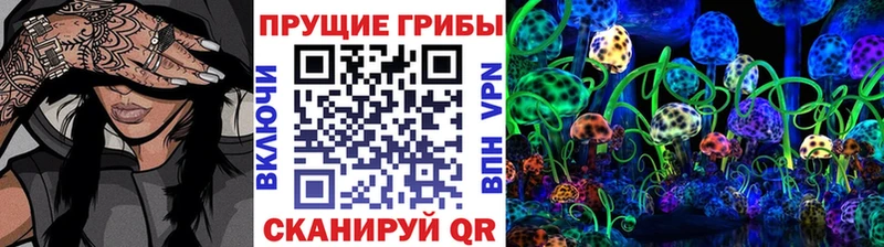 Галлюциногенные грибы MAGIC MUSHROOMS  Ленинградская 